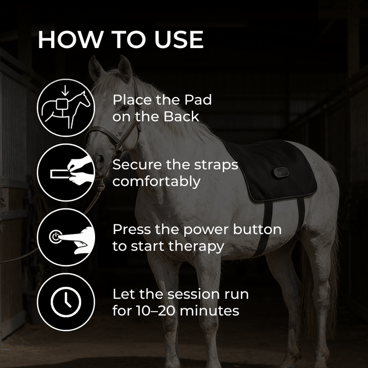 Cheval blanc équipé de l'enveloppe dans une écurie sombre, avec quatre pictogrammes illustrant les étapes d'utilisation: poser, sangler, allumer, patienter. 6