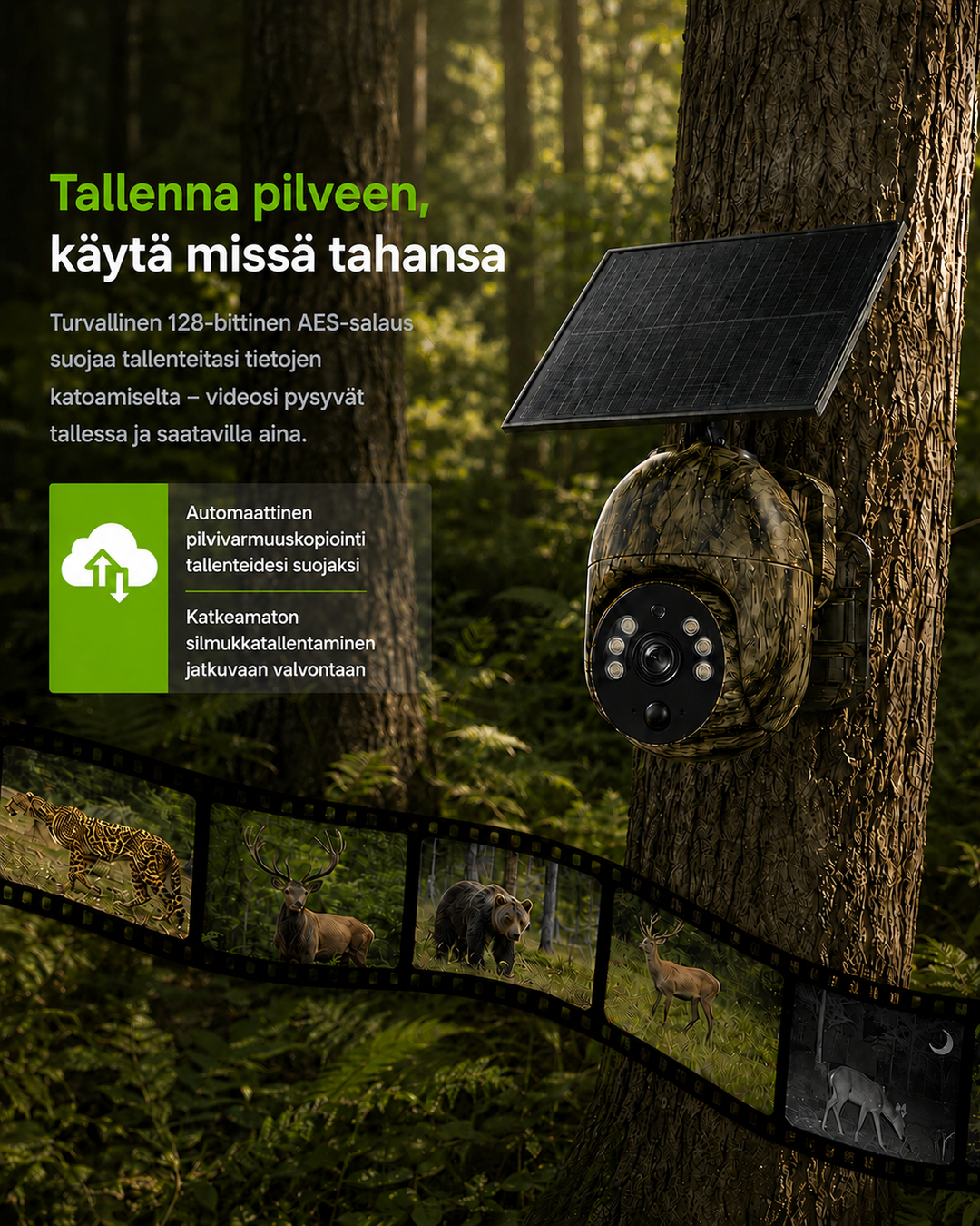 Caméra camouflage sur un tronc en forêt, avec pellicule de vidéos d'animaux sauvages et encadré sur la sauvegarde cloud. 8