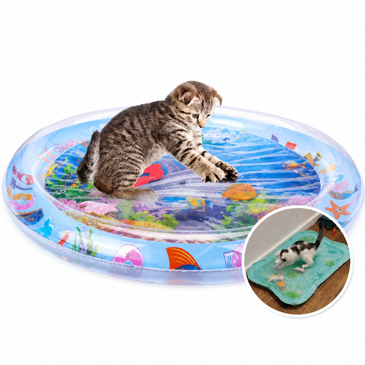 Chaton posant les pattes sur le tapis d'eau rond sur fond blanc, avec en médaillon un chat sur un tapis turquoise. 6