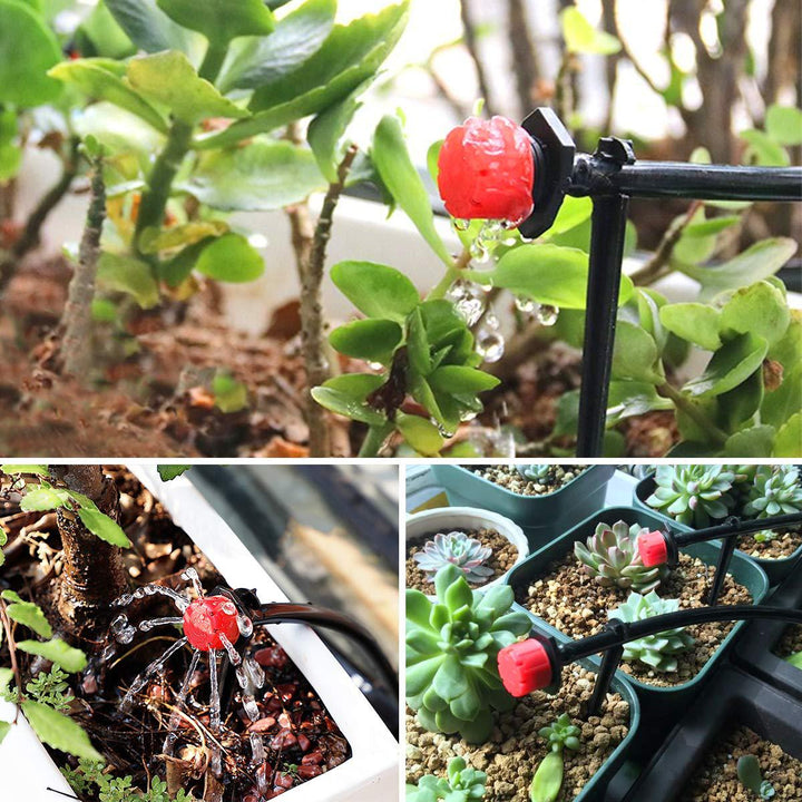 Trois vues d'arrosage de plantes en pots : jardinière, arbuste et succulentes, chacune alimentée par un goutteur rouge. 3