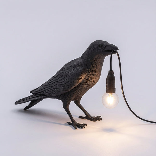 Artistieke Decoratieve Verlichting - Ravenlyx