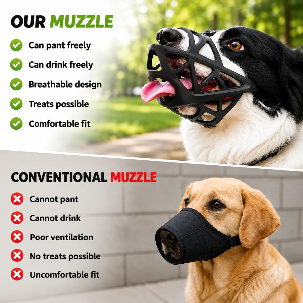 Comparatif entre la muselière panier ajourée sur un border collie et une muselière en tissu fermé sur un labrador. 2