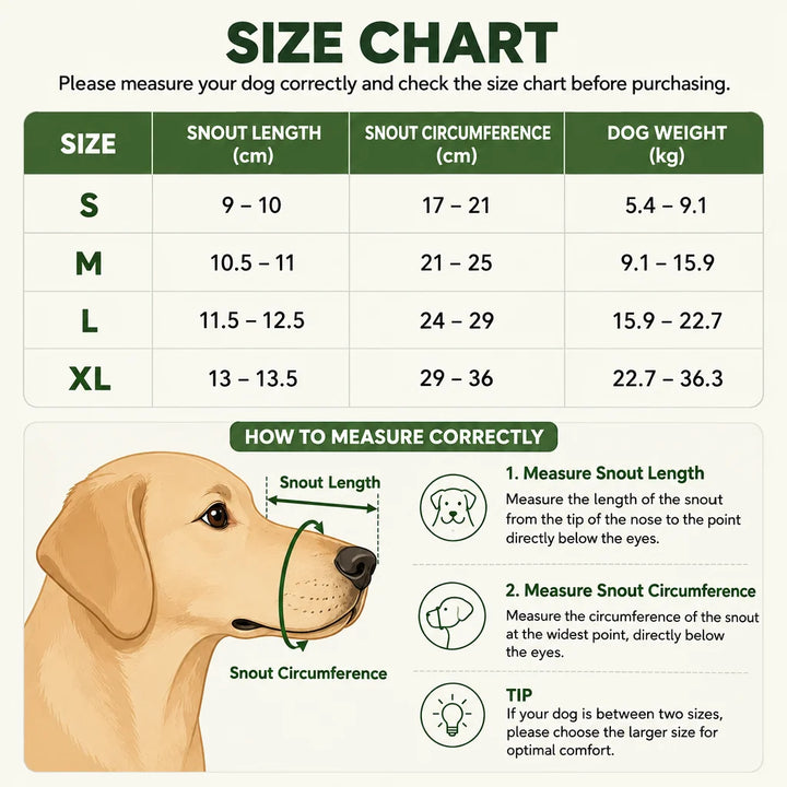 Tableau des tailles S à XL avec longueur et tour de museau, poids du chien, et schéma pour mesurer correctement. 10