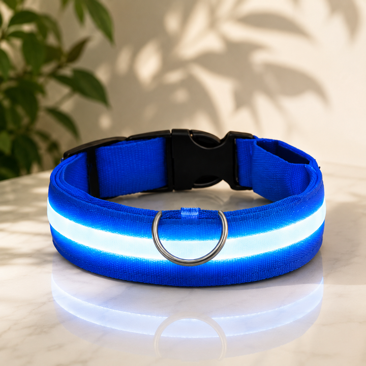Collier en nylon bleu avec bande lumineuse blanc-bleu, anneau en D et boucle noire, posé sur un marbre clair. 1