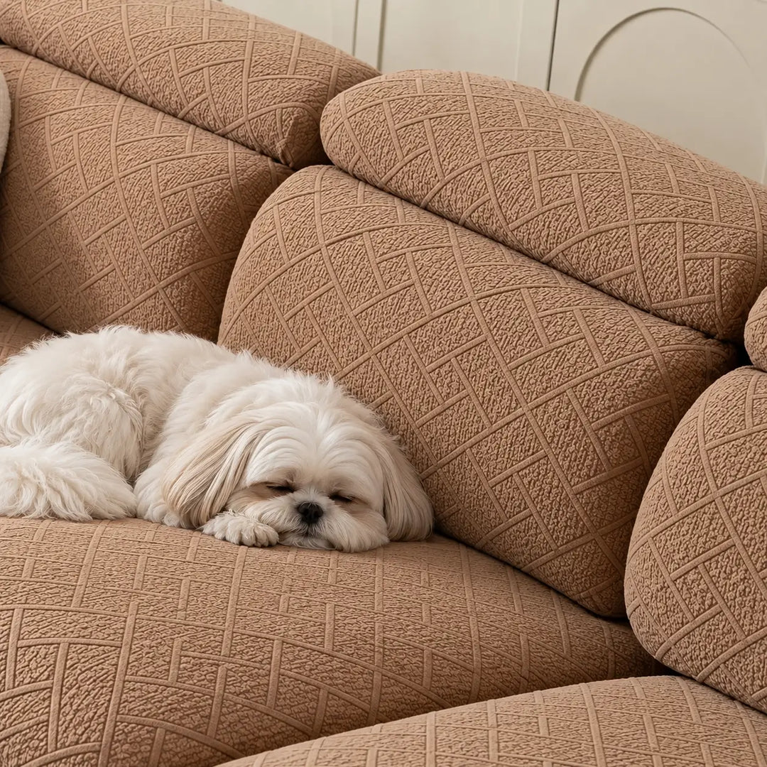 Petit chien blanc endormi sur un canapé aux housses caramel à motif géométrique en relief 11