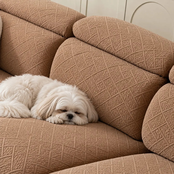 Petit chien blanc endormi sur un canapé aux housses caramel à motif géométrique en relief 11