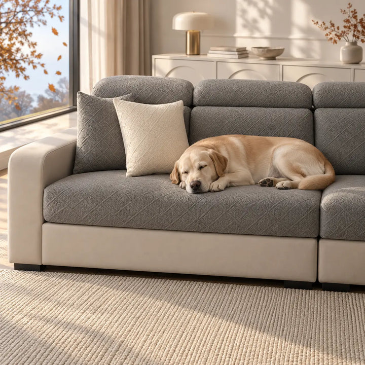 Labrador endormi sur l'assise d'un canapé à housses grises, coussins assortis et tapis tressé 8