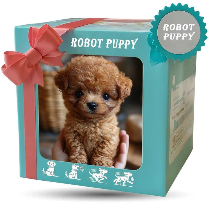 Même boîte cadeau turquoise à nœud rose, dont la fenêtre montre ici un chiot en peluche marron bouclé tenu en main. 9