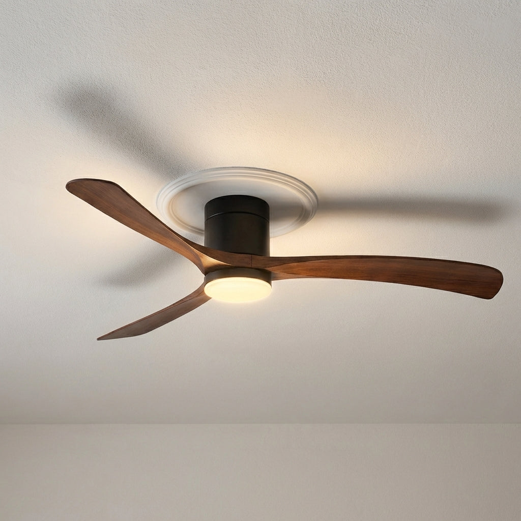 Modern Ceiling Fan With Light -  Aerialynx