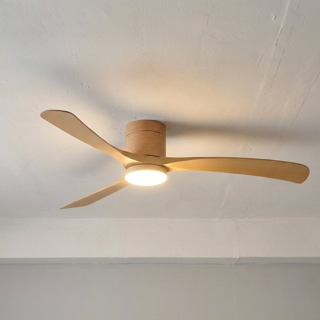 Modern Ceiling Fan With Light -  Aerialynx