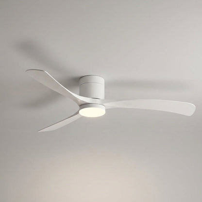 Modern Ceiling Fan With Light -  Aerialynx