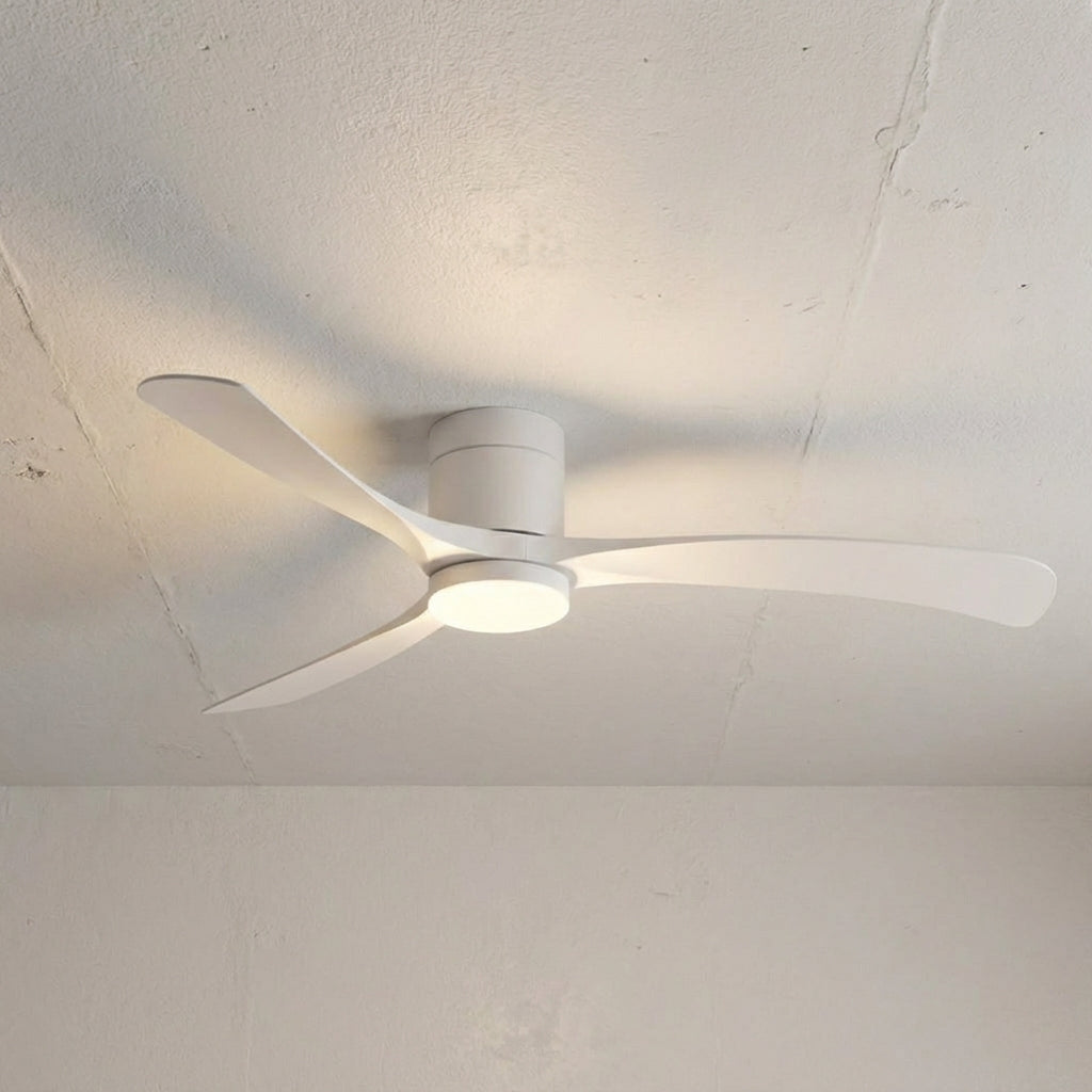Modern Ceiling Fan With Light -  Aerialynx