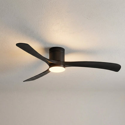 Modern Ceiling Fan With Light -  Aerialynx