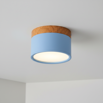 Moderne Deckenleuchte Metall Acryl - Ceilora