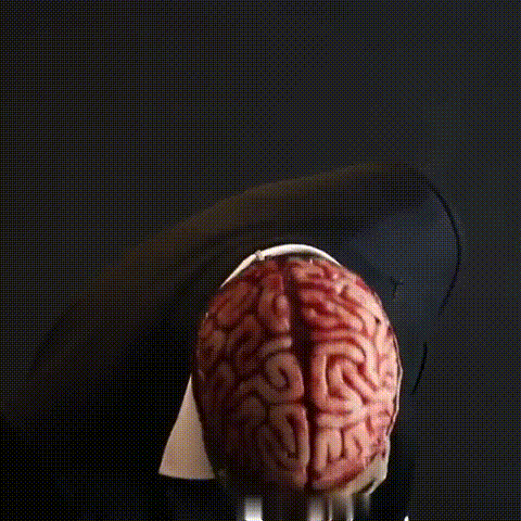 Dessus du masque porté par une personne vue de dos, laissant voir le cerveau rose et ses replis détaillés. 2