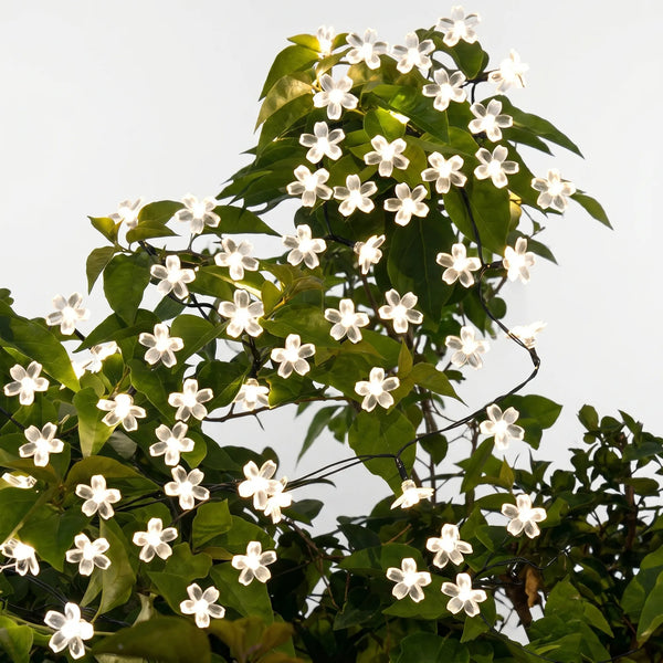 Zonne-lichtsnoer voor buiten - Blossomray