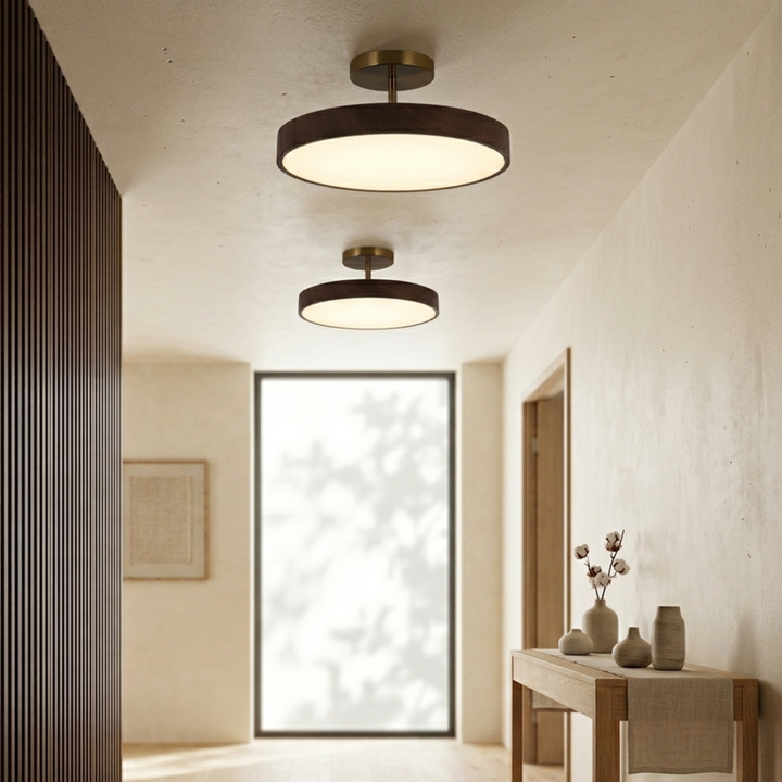 Deux plafonniers à cadre brun et platine dorée éclairant un couloir lumineux, avec console en bois et vases à droite. 6