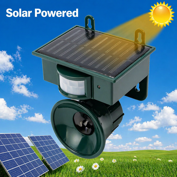 Répulsif vu de dessus avec son panneau solaire, sous un ciel bleu, avec soleil et panneaux solaires sur l'herbe. 5
