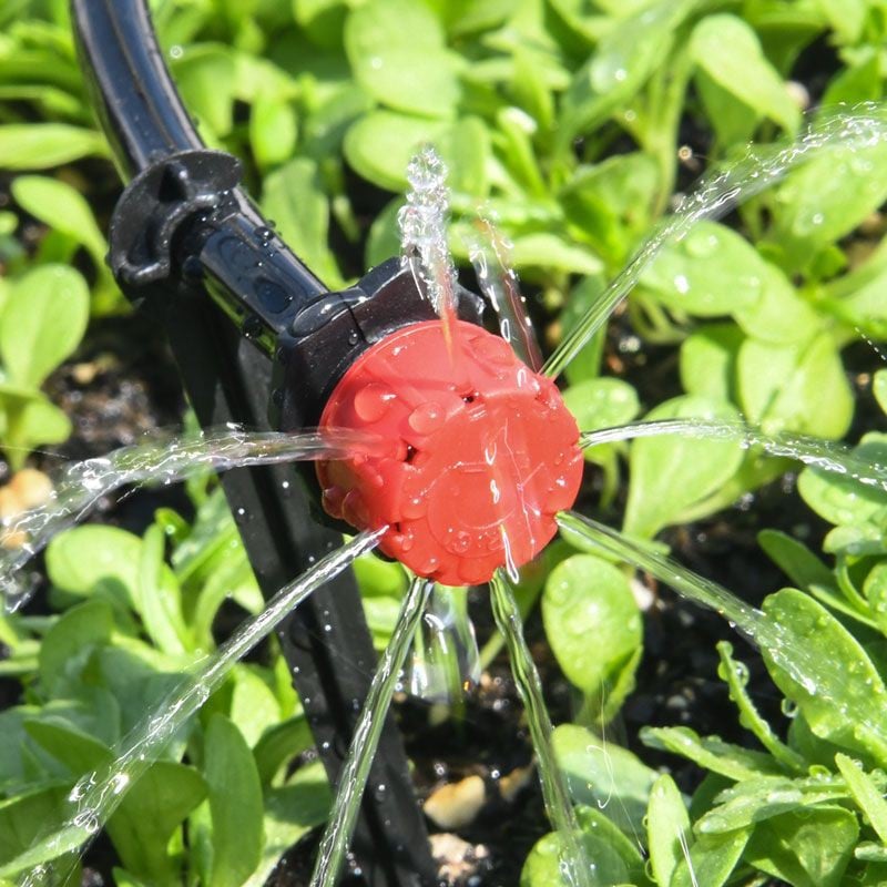 Gros plan sur un goutteur rouge au-dessus d'un sol planté de jeunes pousses vertes, avec des jets d'eau rayonnants. 2