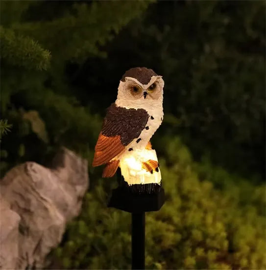 Hibou à tête brune, poitrail blanc et ailes orangées, éclairé sur sa souche, planté devant un buisson et un rocher. 7