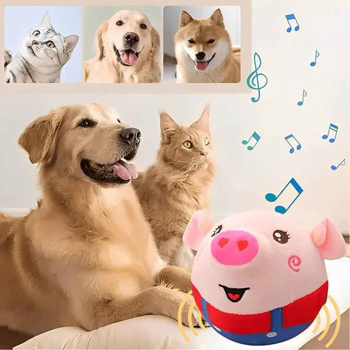 Balle cochon en peluche entourée de notes de musique, avec un golden retriever et un chat à côté, et trois portraits d'animaux en haut. 4