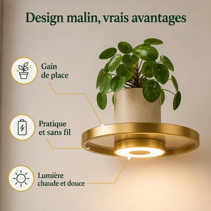 Gros plan sur une étagère ronde dorée avec sa lumière LED chaude sous le plateau, portant un pot beige avec une plante. 3