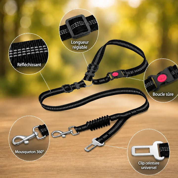 Ceinture déployée avec détails en médaillons : bandes réfléchissantes, boucle réglable, bouclier de sécurité, mousqueton 4