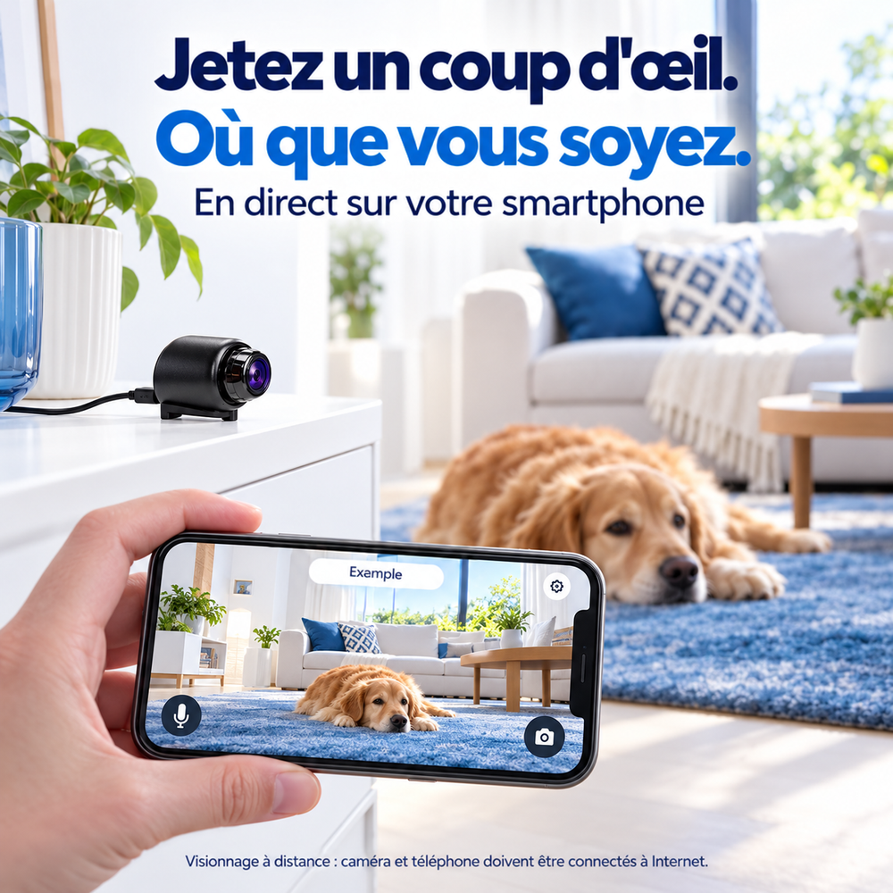 Caméra noire posée sur un meuble, branchée par câble, pendant qu'une main tient un téléphone montrant un chien allongé 2