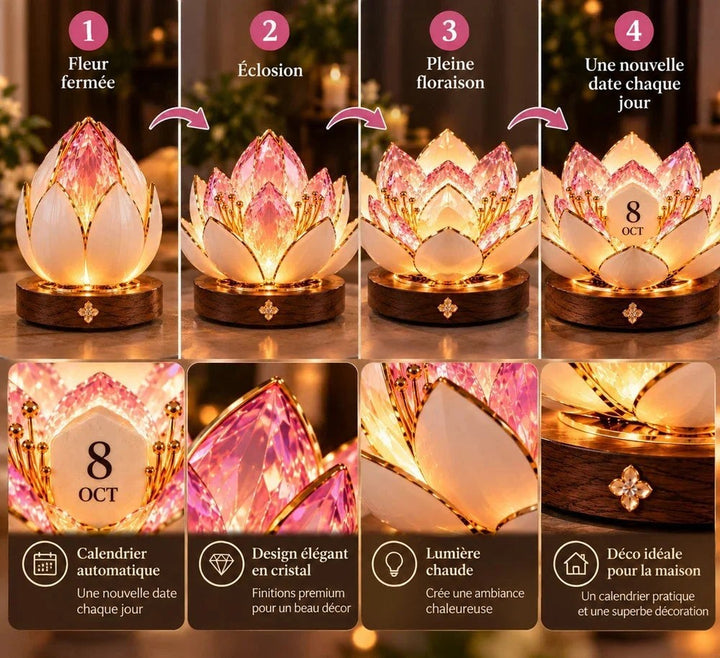 Planche en quatre étapes de la fleur qui s'ouvre, avec détails du cristal, de la lumière et du socle 7