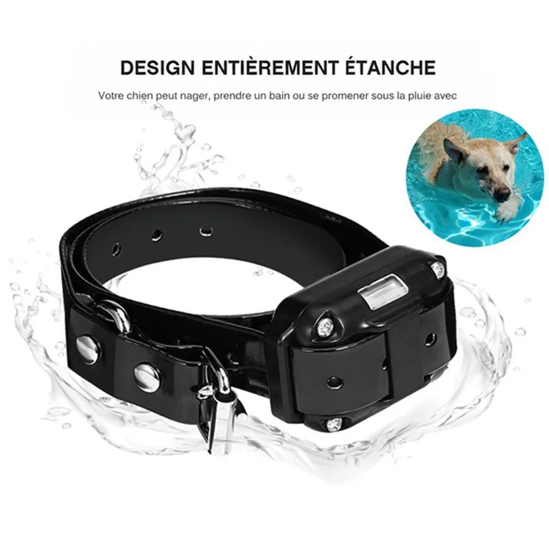 Collier noir entouré d'éclaboussures d'eau, avec un chien qui nage dans une piscine en médaillon 7