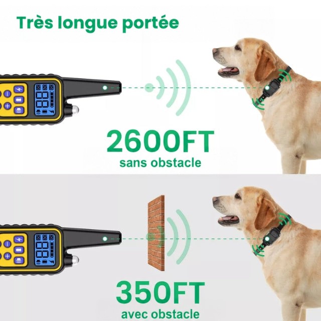 Schéma de la portée de la télécommande vers un labrador, avec et sans mur en briques 4