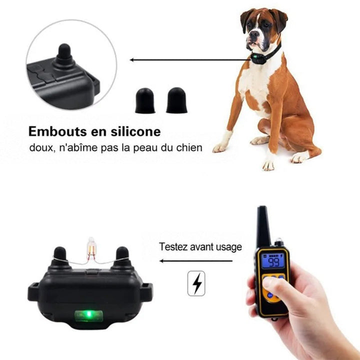 Embouts en silicone noirs du récepteur, boxer portant le collier et test du récepteur avec la télécommande 6