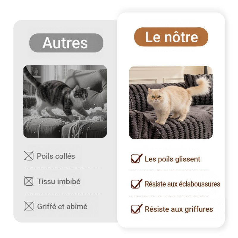 Comparaison entre un canapé abîmé par un chat et la housse résistante avec chat perché dessus 4