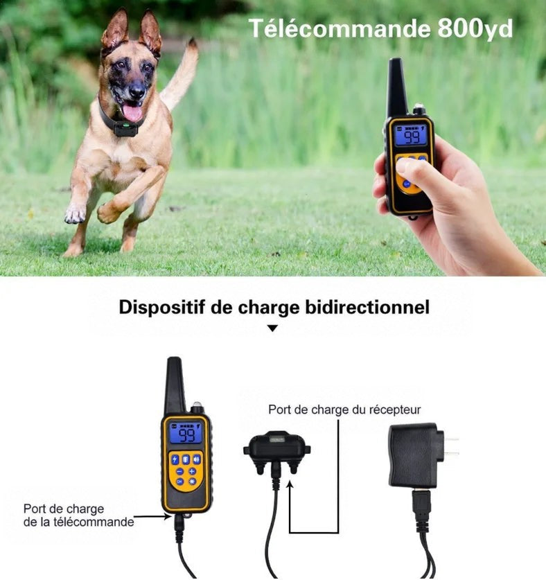Berger courant dans l'herbe, télécommande tenue en main, et schéma du chargeur avec câble et prise 5