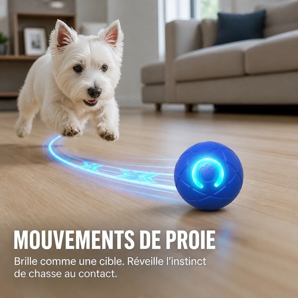 Terrier blanc courant après la boule bleue lumineuse qui laisse une traînée bleue sur le parquet 3