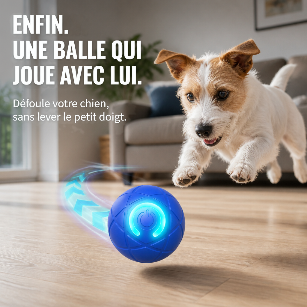 Petit chien bondissant derrière la boule bleue lumineuse qui file sur un parquet de salon 1