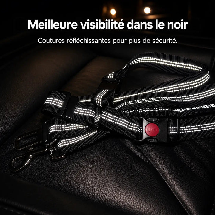 Ceinture noire posée sur un siège en cuir dans l'obscurité, ses surpiqûres réfléchissantes bien visibles 3