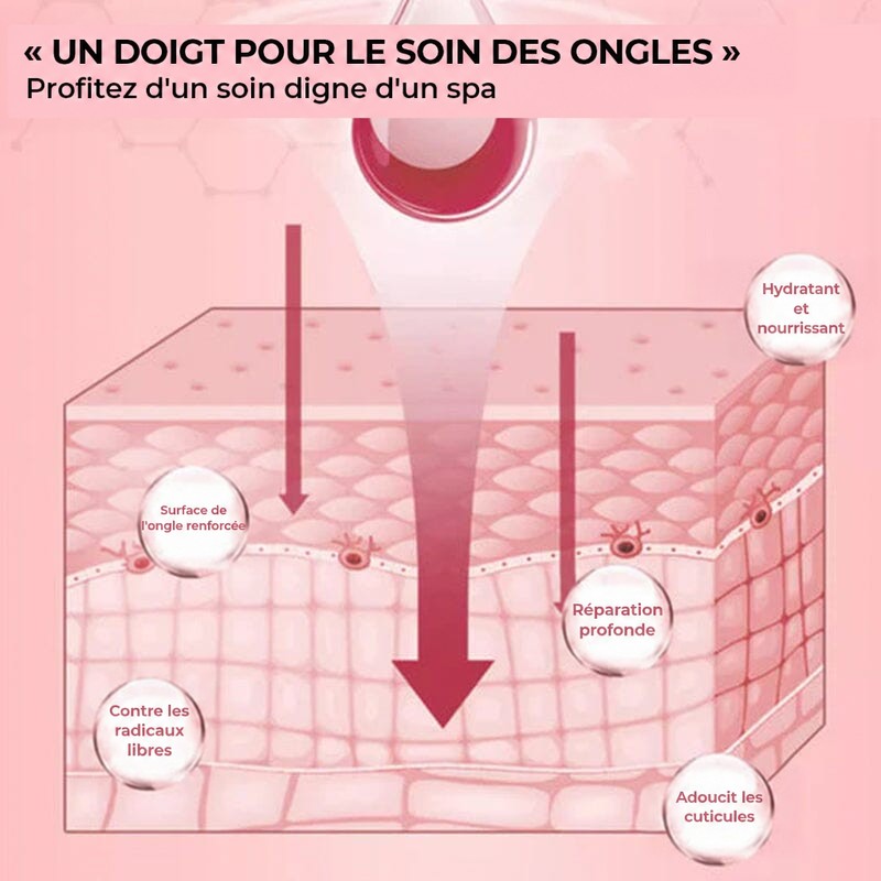 Schéma rose en coupe de la peau montrant la pénétration de l'huile et ses bienfaits 7