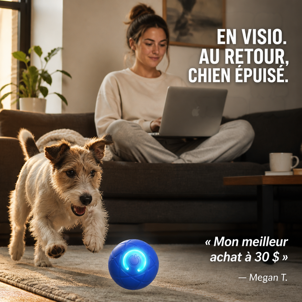 Femme avec son ordinateur sur un canapé pendant que son chien court après la boule bleue lumineuse 7