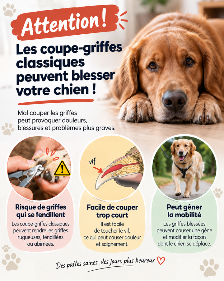 Visuel d'avertissement sur les coupe-griffes classiques, avec un chien couché et trois cas illustrés 4