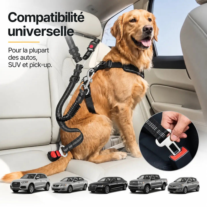 Golden retriever sur la banquette attaché par la ceinture, avec un gros plan de l'embout et des silhouettes de voitures 6