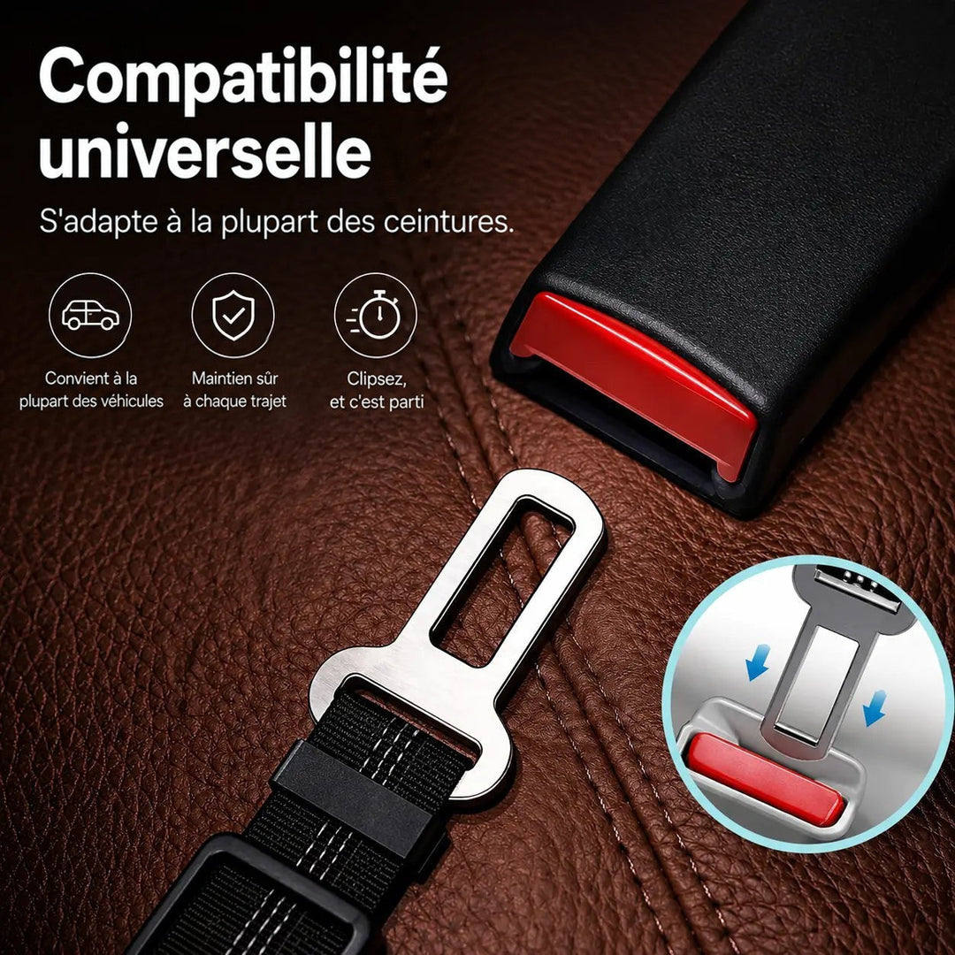 Embout métallique de la ceinture prêt à s'enclencher dans la boucle d'une ceinture de voiture, sur un siège en cuir 5