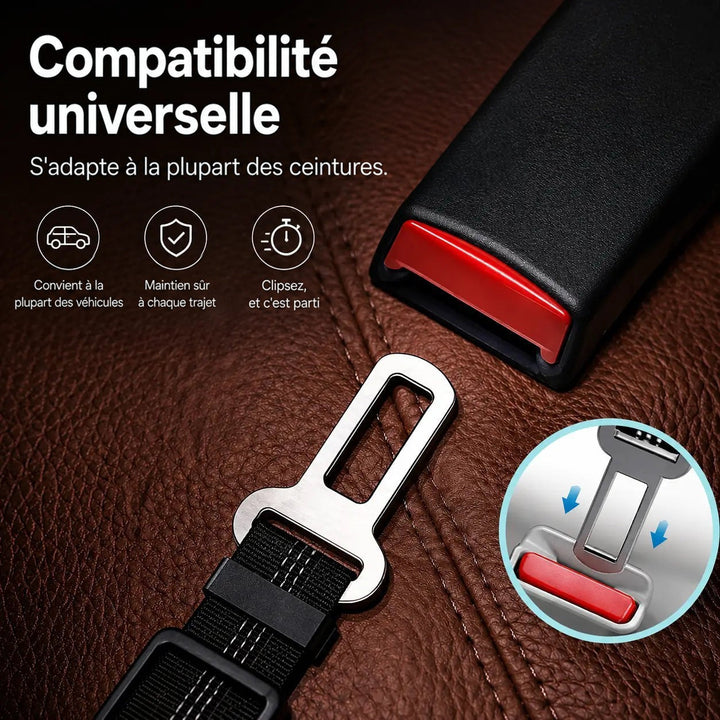 Embout métallique de la ceinture prêt à s'enclencher dans la boucle d'une ceinture de voiture, sur un siège en cuir 5