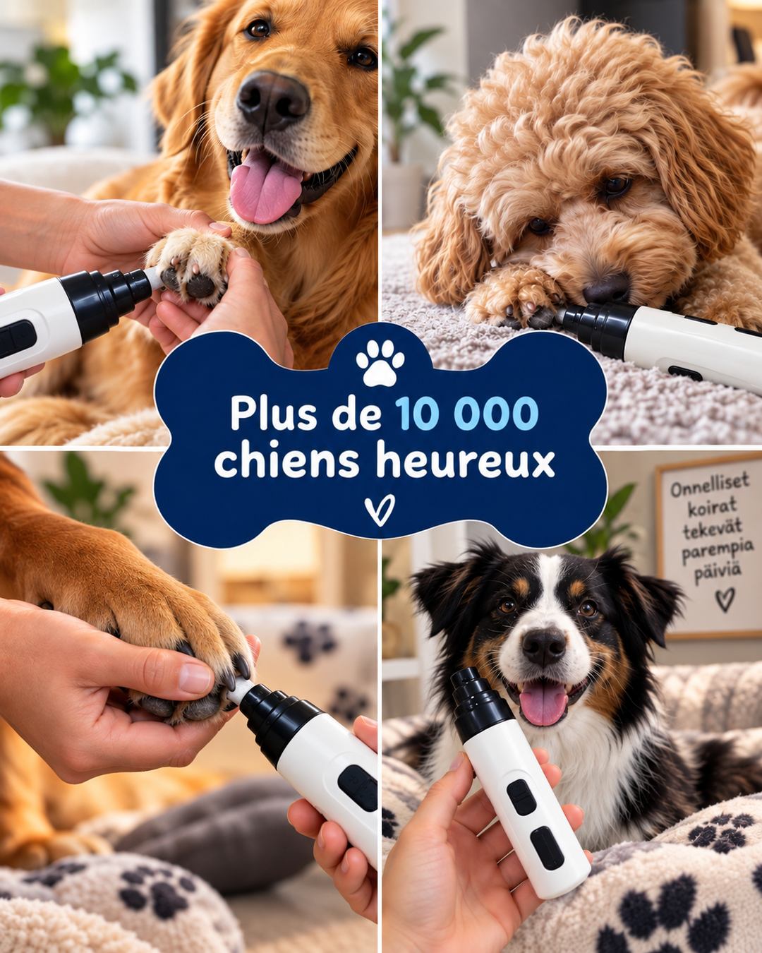 Collage de quatre chiens de races différentes pendant le ponçage des griffes avec l'appareil 10