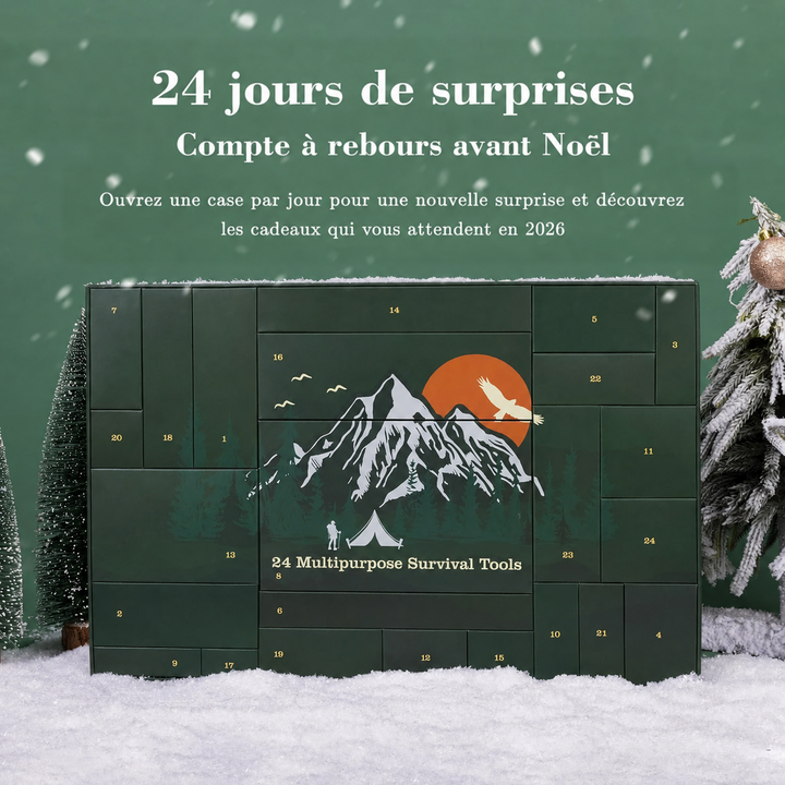 Calendrier de l'Avent vert posé dans la neige entre des sapins enneigés, vu de face 5
