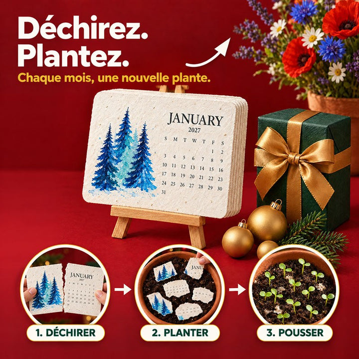 Page de janvier sur chevalet avec sapins bleus, cadeau et boules dorées, et trois étapes de plantation en vignettes 1