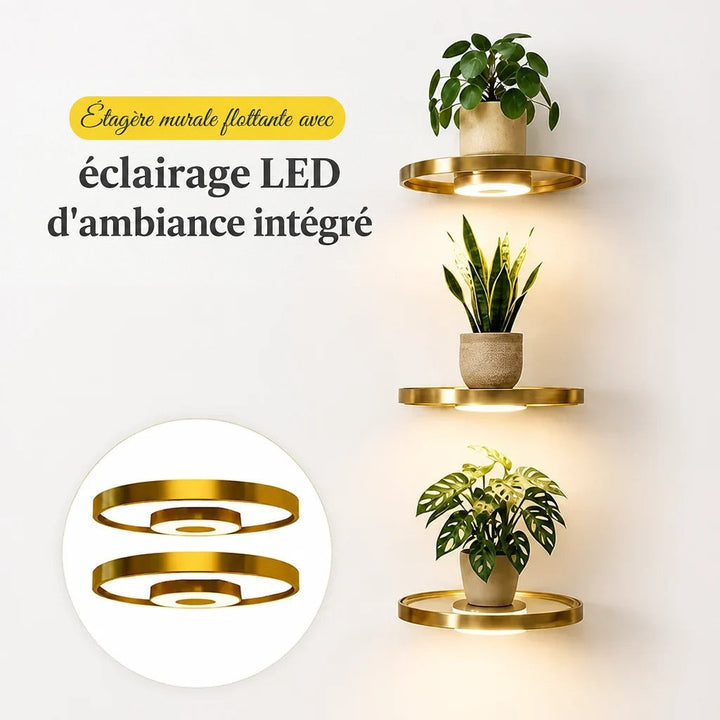 Trois étagères rondes dorées éclairées portant des plantes, avec en médaillon deux étagères vues en détail montrant le disque lumineux central. 6
