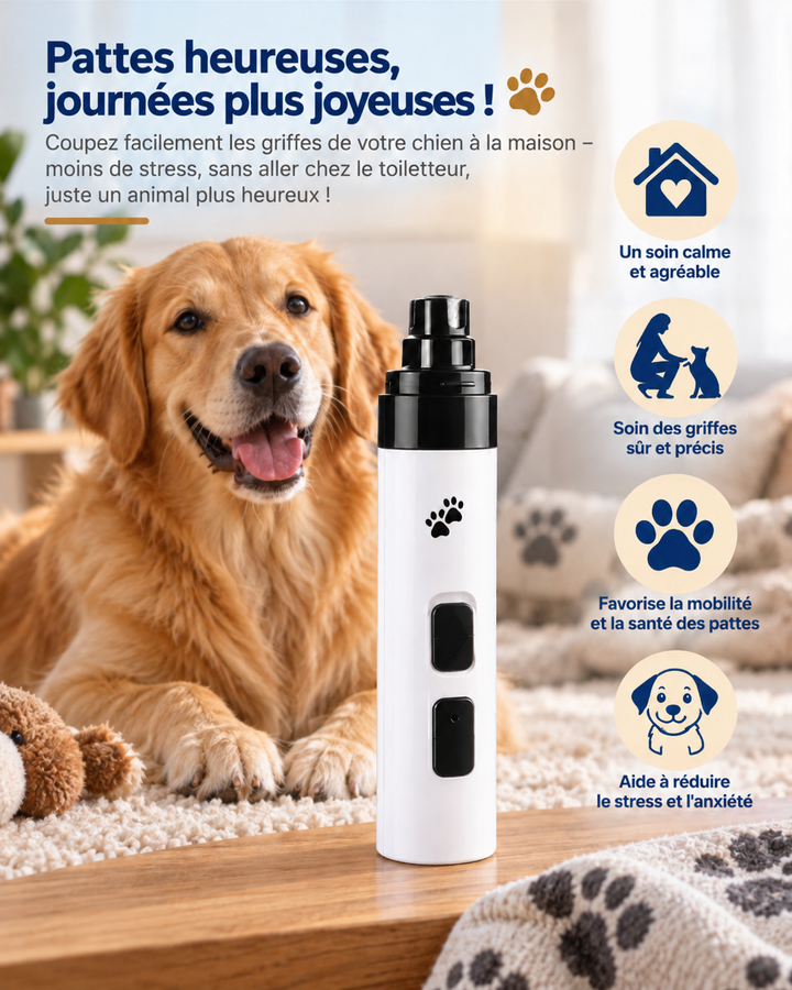 Appareil blanc posé devant un golden retriever souriant, entouré de quatre pictogrammes d'avantages 5