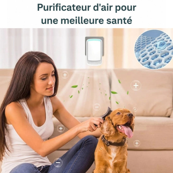 Femme brossant son chien sur un canapé, l'appareil branché au mur diffusant de l'air purifié 10
