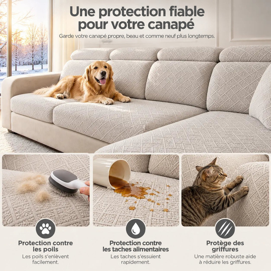 Canapé beige avec chien, et trois cas de protection : poils, liquide renversé, griffes de chat 5